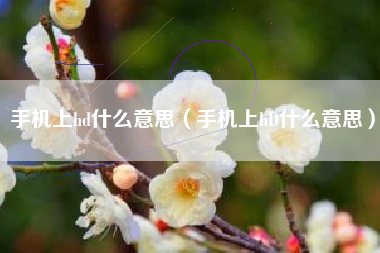 手机上hd什么意思（手机上hD什么意思）