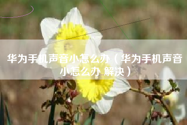 华为手机声音小怎么办（华为手机声音小怎么办 解决）