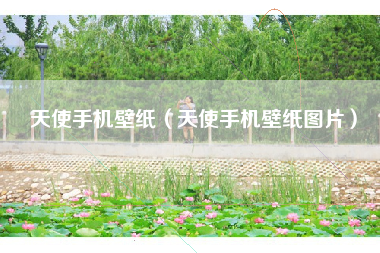 天使手机壁纸（天使手机壁纸图片）