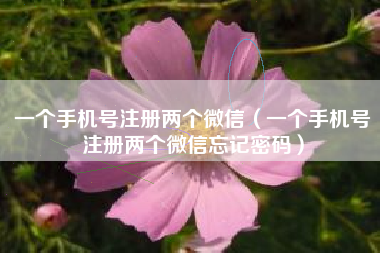 一个手机号注册两个微信（一个手机号注册两个微信忘记密码）