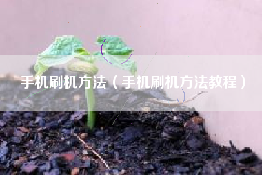 手机刷机方法（手机刷机方法教程）