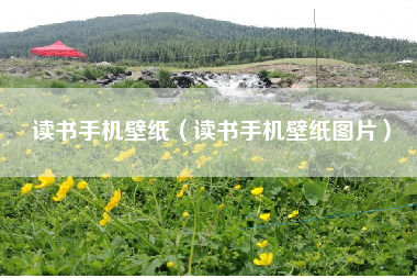 读书手机壁纸（读书手机壁纸图片）