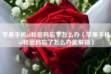 苹果手机id和密码忘了怎么办（苹果手机id和密码忘了怎么办能解锁）