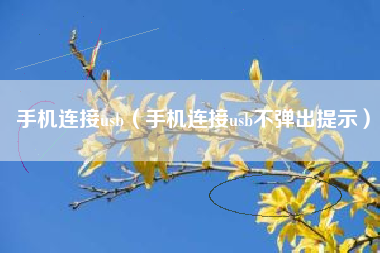 手机连接usb（手机连接usb不弹出提示）