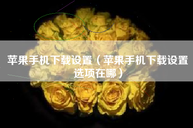 苹果手机下载设置（苹果手机下载设置选项在哪）
