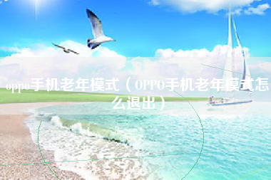 oppo手机老年模式（OPPO手机老年模式怎么退出）