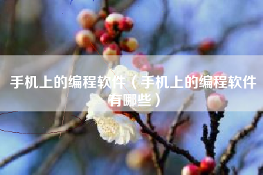 手机上的编程软件（手机上的编程软件有哪些）