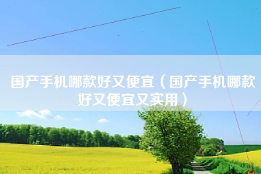 国产手机哪款好又便宜（国产手机哪款好又便宜又实用）