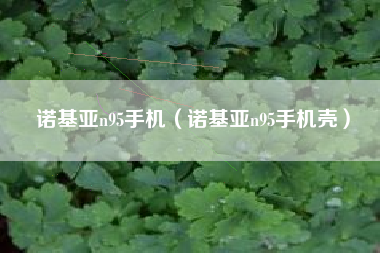 诺基亚n95手机（诺基亚n95手机壳）