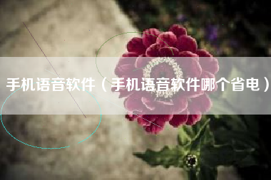 手机语音软件（手机语音软件哪个省电）