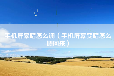 手机屏幕暗怎么调（手机屏幕变暗怎么调回来）