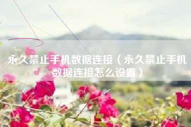 永久禁止手机数据连接（永久禁止手机数据连接怎么设置）