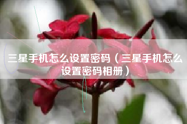 三星手机怎么设置密码（三星手机怎么设置密码相册）