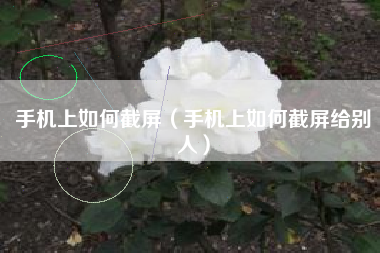 手机上如何截屏（手机上如何截屏给别人）