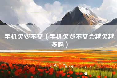 手机欠费不交（手机欠费不交会越欠越多吗）