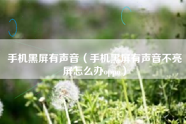 手机黑屏有声音（手机黑屏有声音不亮屏怎么办oppo）