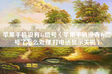 苹果手机没有4g信号（苹果手机没有4g信号了怎么处理,打电话显示关机）