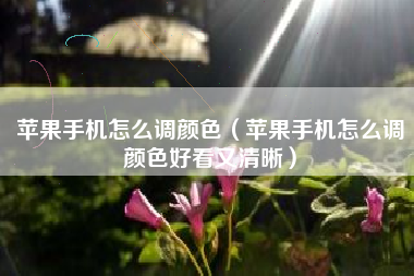 苹果手机怎么调颜色（苹果手机怎么调颜色好看又清晰）