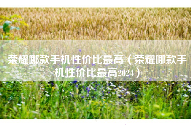 荣耀哪款手机性价比最高（荣耀哪款手机性价比最高2024）