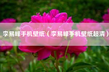 李易峰手机壁纸（李易峰手机壁纸超清）