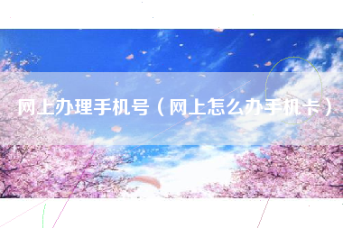 网上办理手机号（网上怎么办手机卡）