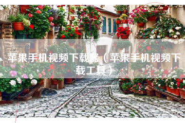 苹果手机视频下载器（苹果手机视频下载工具）