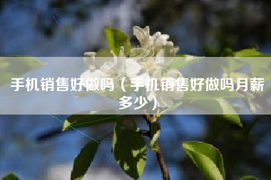 手机销售好做吗（手机销售好做吗月薪多少）