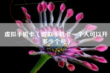 虚拟手机卡（虚拟手机卡一个人可以开多少个号）
