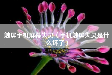 触屏手机屏幕失灵（手机触屏失灵是什么坏了）