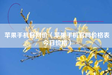 苹果手机官网价（苹果手机官网价格表今日价格）