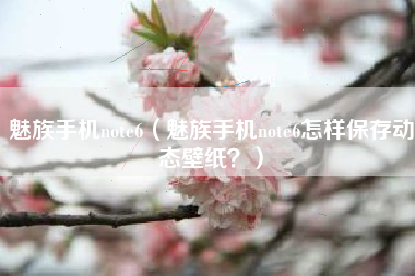 魅族手机note6（魅族手机note6怎样保存动态壁纸？）