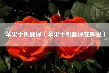 苹果手机翻译（苹果手机翻译在哪里）