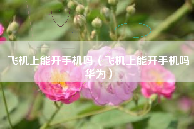 飞机上能开手机吗（飞机上能开手机吗华为）