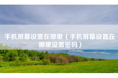 手机屏幕设置在哪里（手机屏幕设置在哪里设置密码）