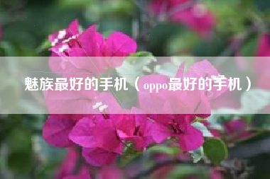 魅族最好的手机（oppo最好的手机）