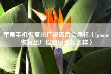 苹果手机恢复出厂设置后会怎样（iphone恢复出厂设置后会怎么样）