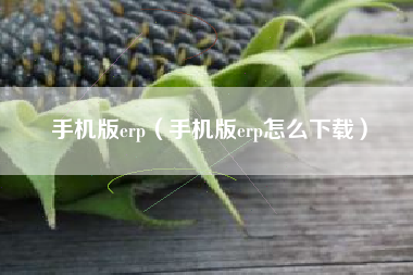 手机版erp（手机版erp怎么下载）