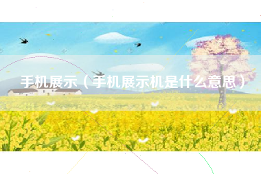 手机展示（手机展示机是什么意思）