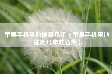 苹果手机电池能用几年（苹果手机电池能用几年就要换）