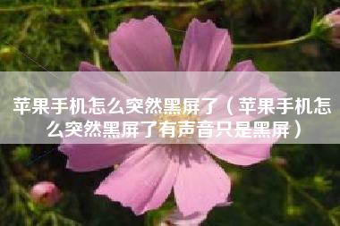 苹果手机怎么突然黑屏了（苹果手机怎么突然黑屏了有声音只是黑屏）
