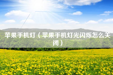 苹果手机灯（苹果手机灯光闪烁怎么关闭）