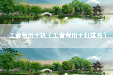 王者专用手机（王者专用手机排名）