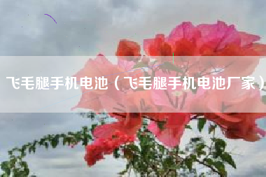 飞毛腿手机电池（飞毛腿手机电池厂家）
