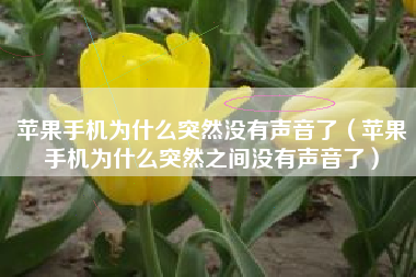 苹果手机为什么突然没有声音了（苹果手机为什么突然之间没有声音了）
