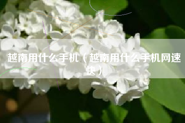 越南用什么手机（越南用什么手机网速快）