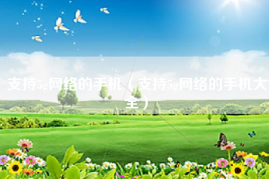支持5g网络的手机（支持5g网络的手机大全）