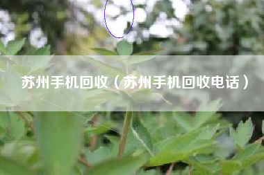 苏州手机回收（苏州手机回收电话）