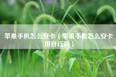 苹果手机怎么安卡（苹果手机怎么安卡用针行吗）
