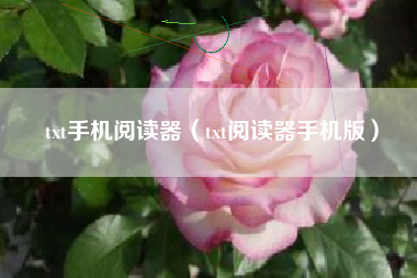 txt手机阅读器（txt阅读器手机版）