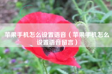 苹果手机怎么设置语音（苹果手机怎么设置语音留言）